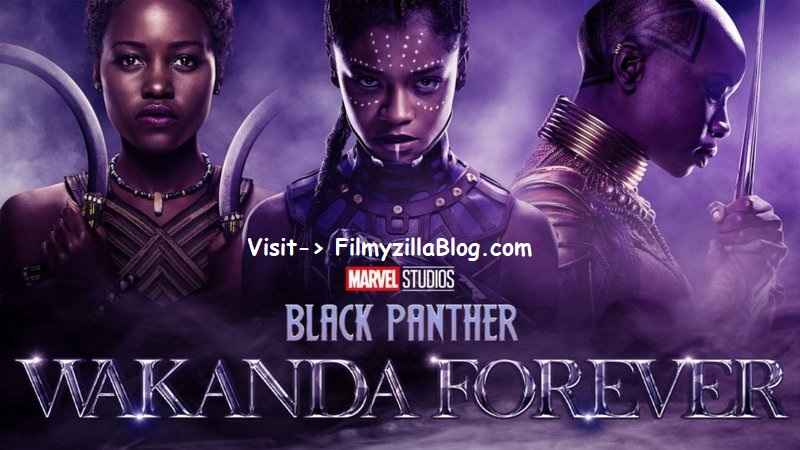 Black Panther Wakanda Forever Hindi Movie Download FilmyZilla 480p 720p 1080p