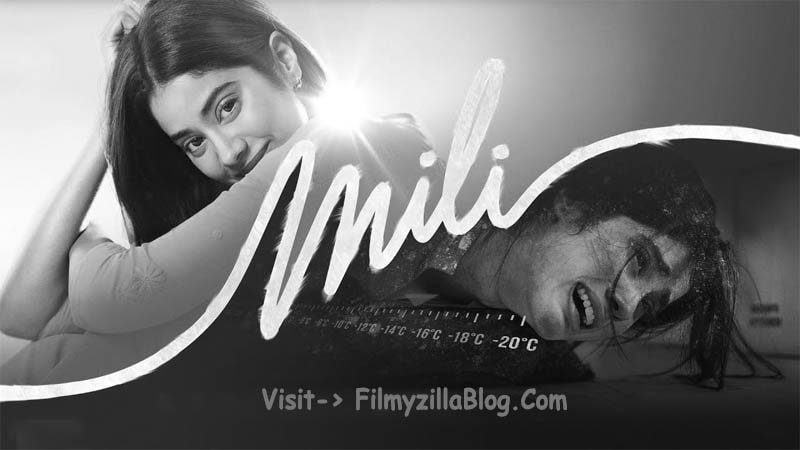Mili Movie Download Filmyzilla 480p 720p Watch Online