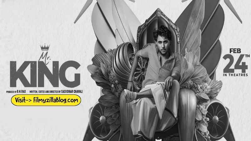 Mr King Telugu Movie Download FilmyZilla 480p 720p 1080p
