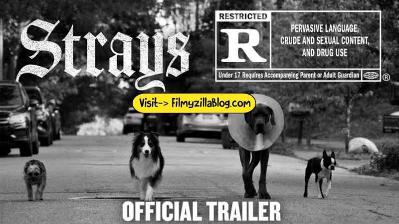 The Strays (2023) Web Series All Episodes Download Filmyzilla